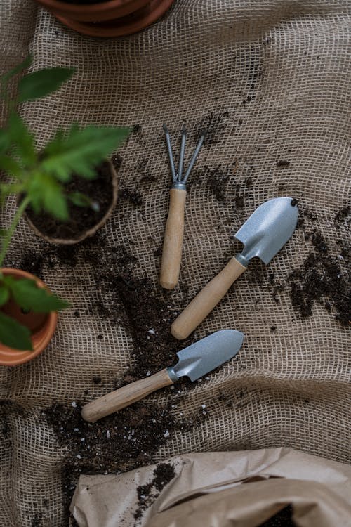 De tuin laten inrichten door een professional